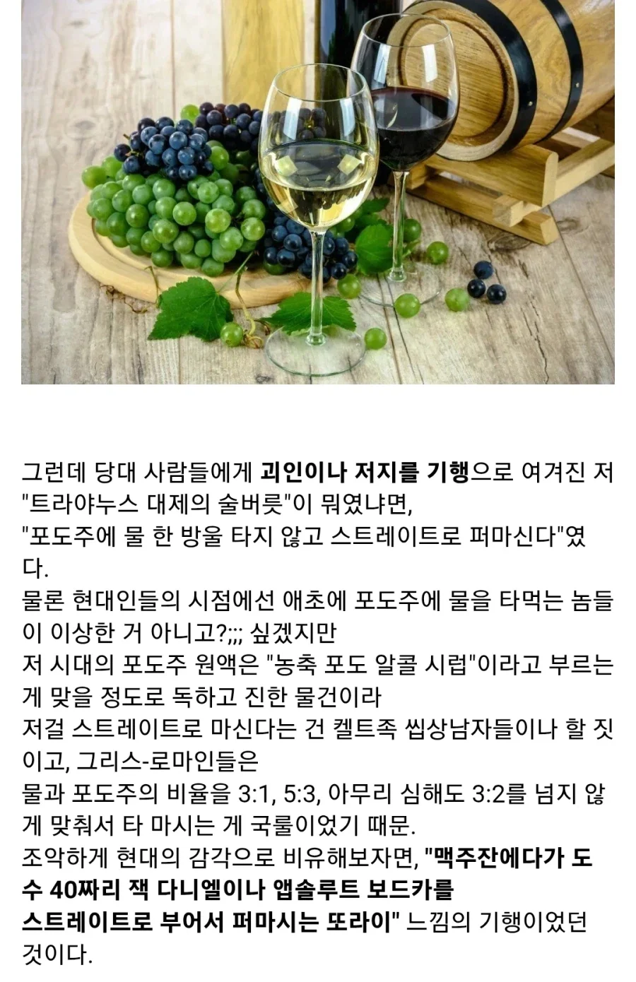 고대 로마판 사회생활 (회식편) - 이미지 4