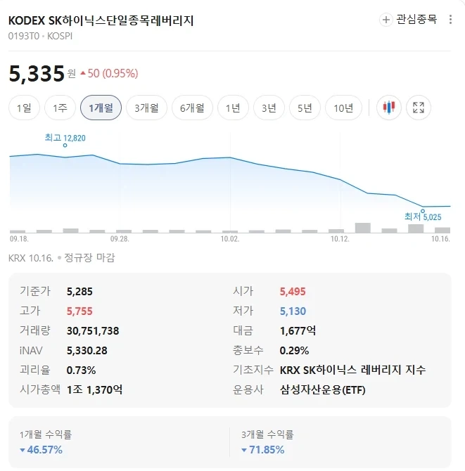 하이닉스 레버리지 ＇장투＇의 최후