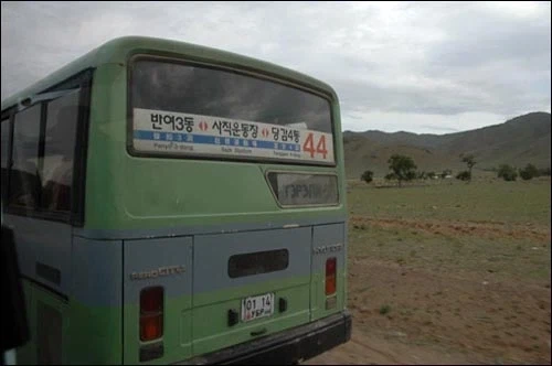 이상 기후 때문에 부산에 생긴 변화