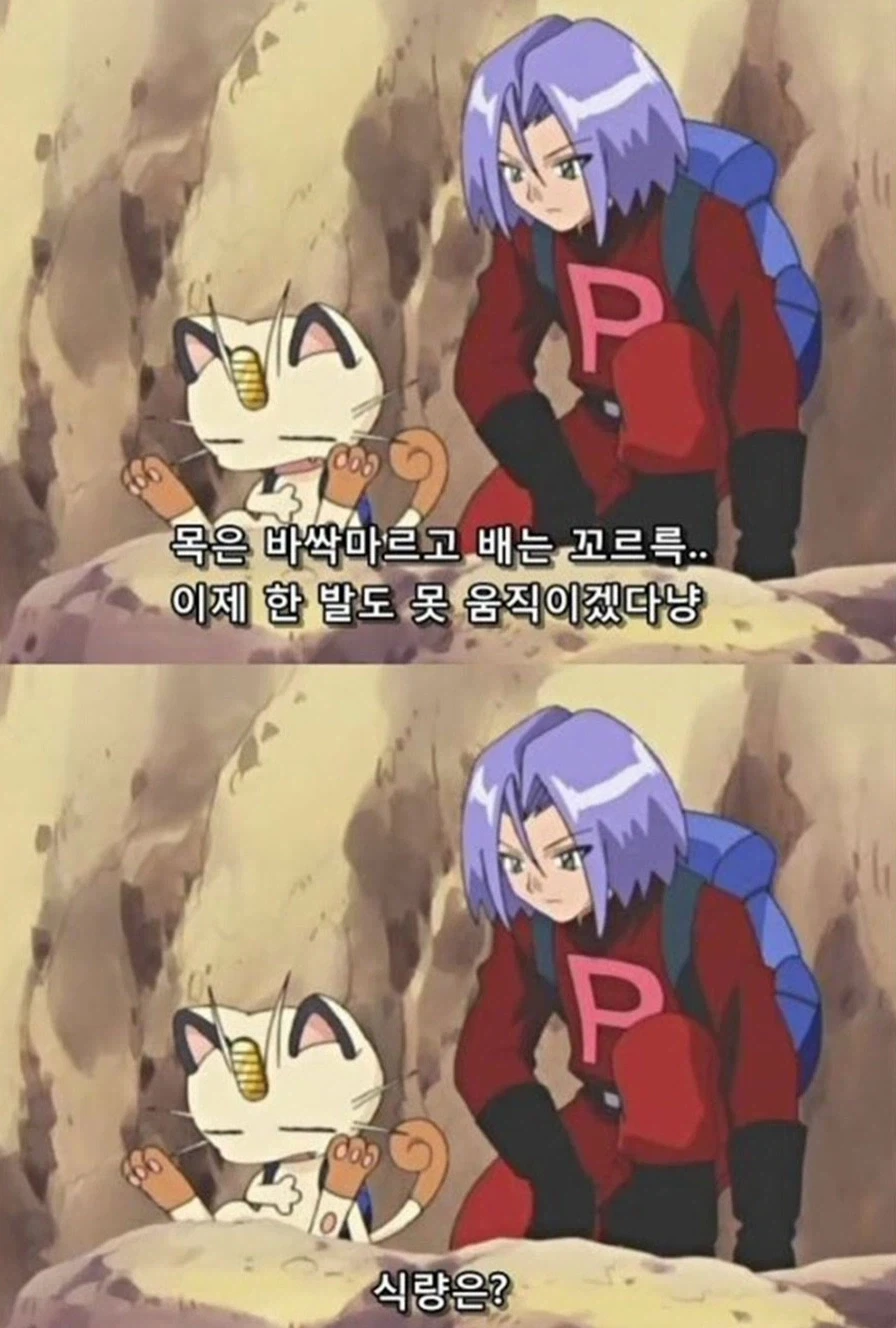 포켓몬스터에서 악역으로 나오는 로켓단의 인성 - 이미지 8