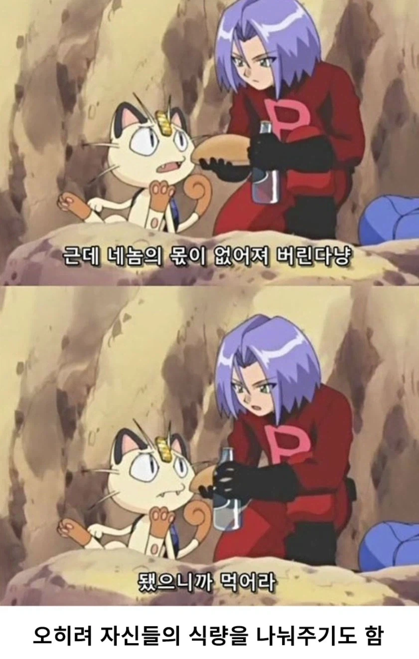 포켓몬스터에서 악역으로 나오는 로켓단의 인성 - 이미지 10