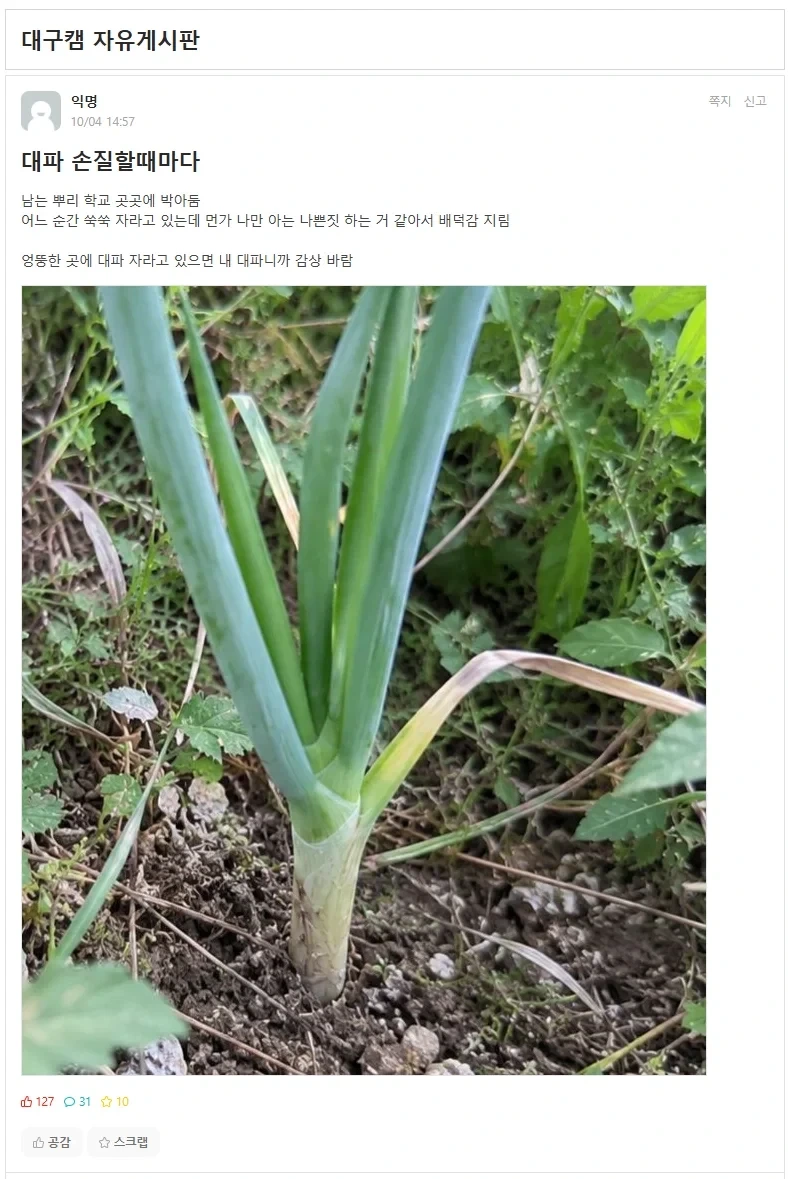 남은 대파를 학교에 처리하는 사람 ㄷㄷㄷㄷ