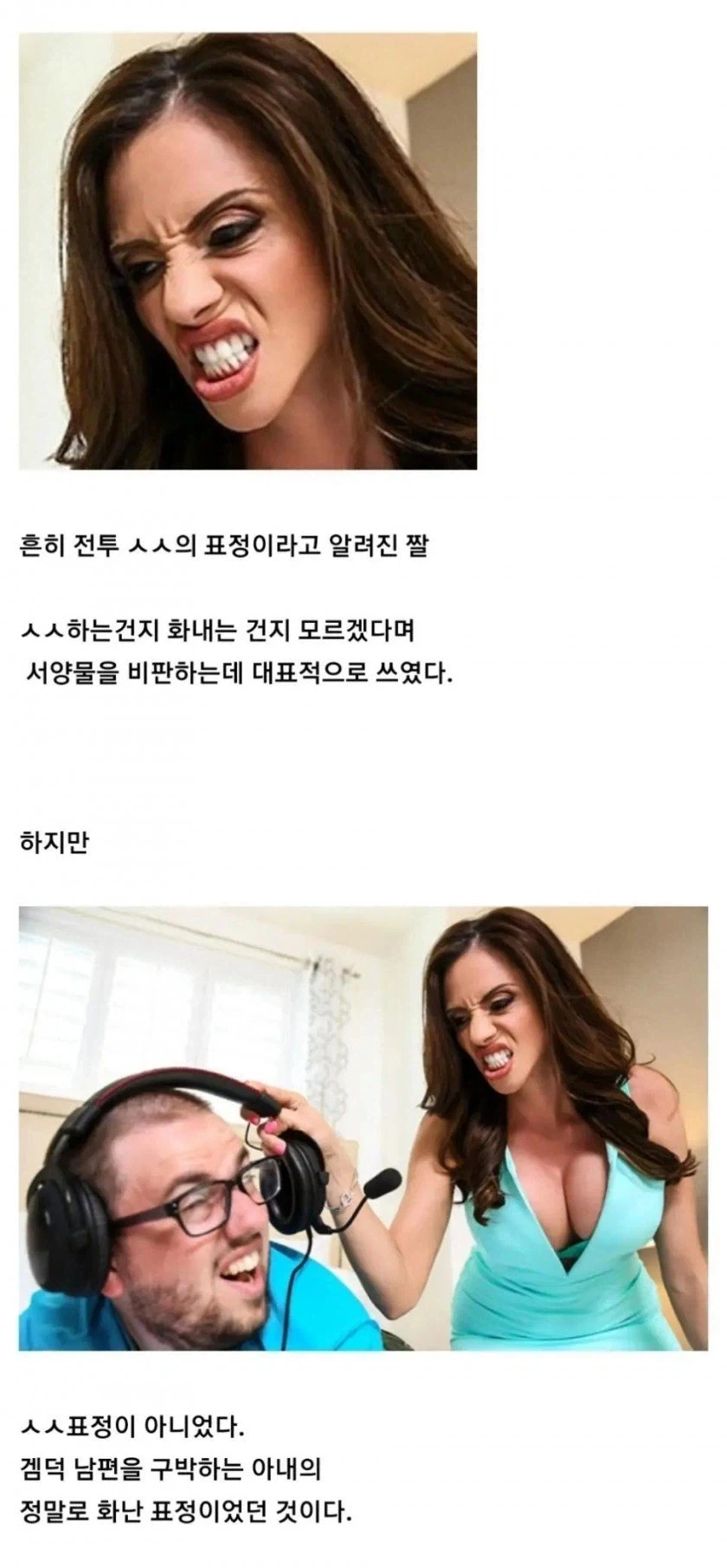 서양 전투 ㅅㅅ 짤의 진실