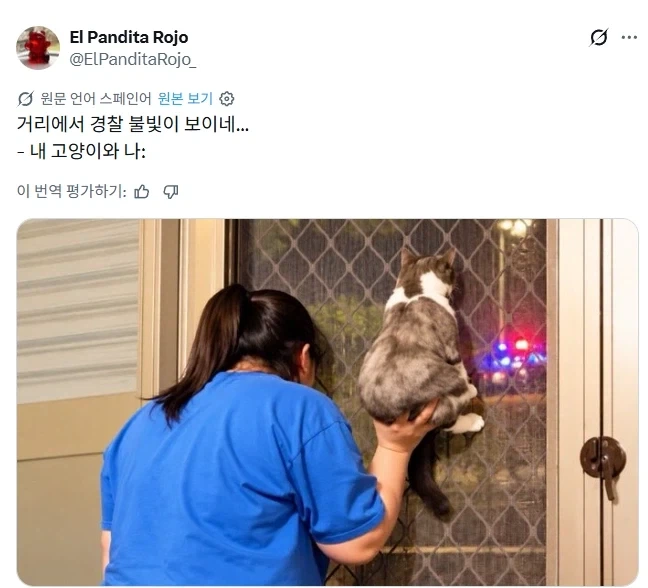 경찰차 구경하는 고양이와 집사.jpg