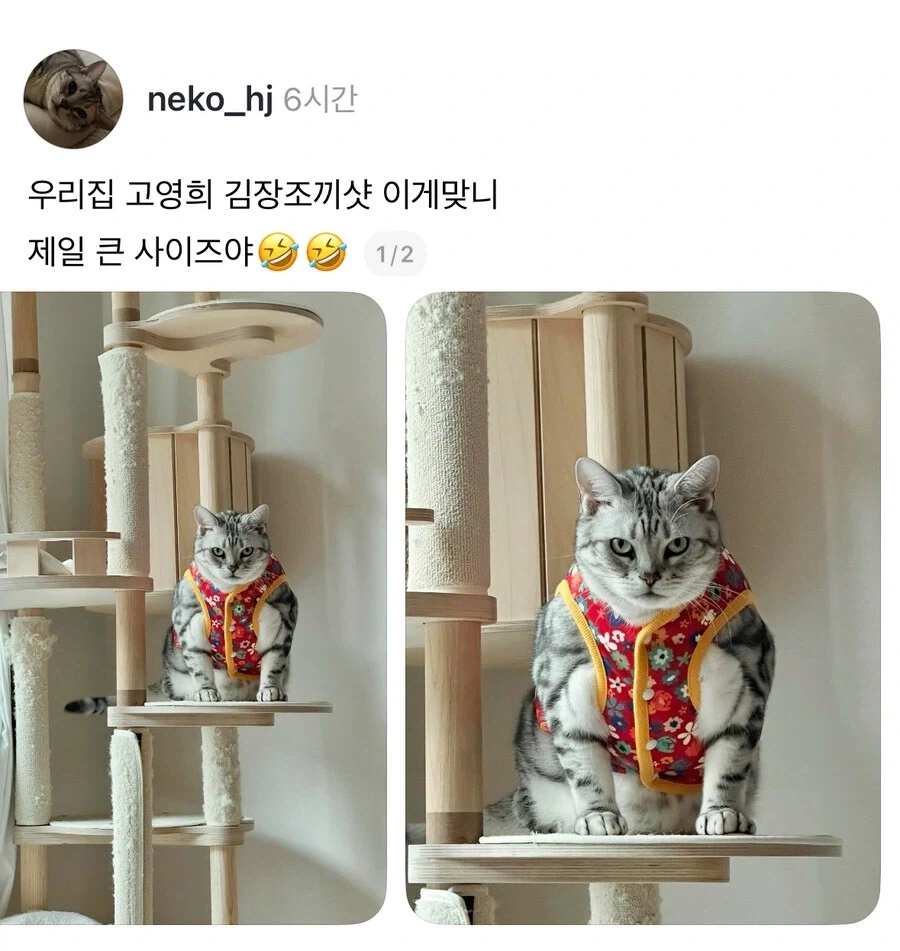 김장철 고영희.