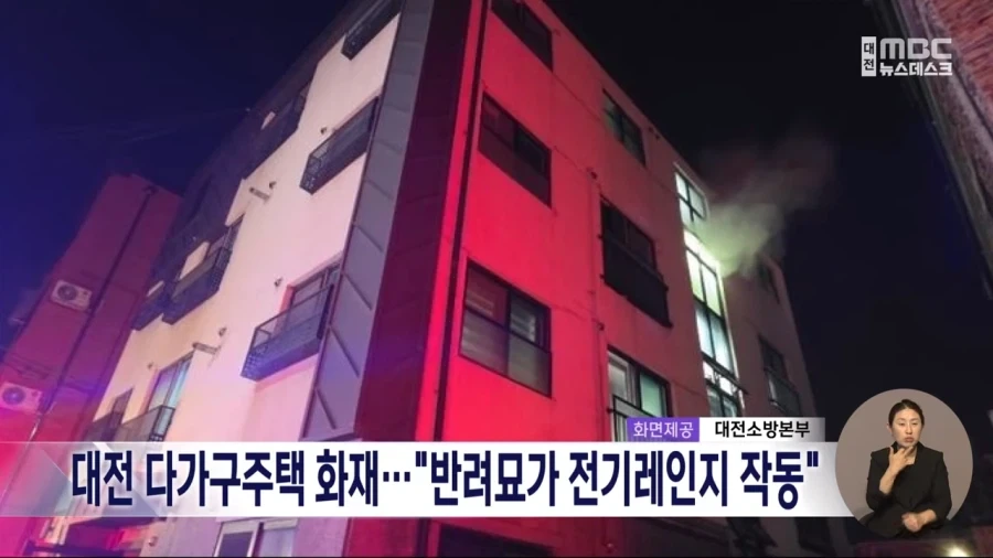 고양이가 전기레인지 작동시켜 화재.jpg