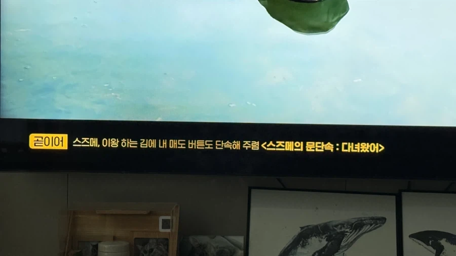 OCN 돌았냐고 ㅋㅋㅋ