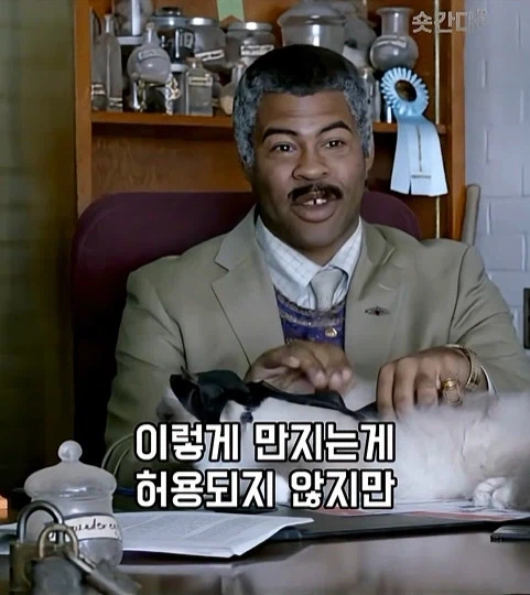 미국 슬럼 마법학교 - 이미지 23