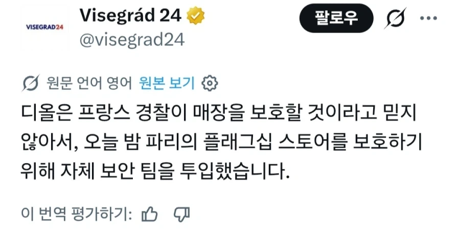 프랑스 디올 매장 프랑스 경찰 믿지 못해 용병 투입