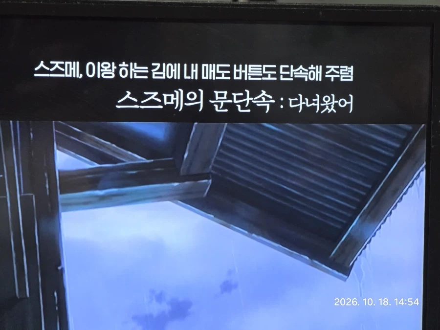 OCN 스즈메의 주식단속