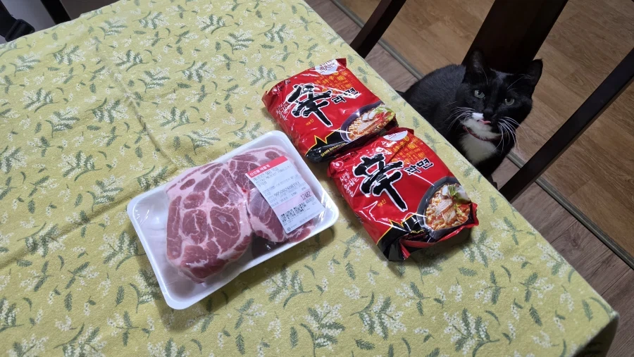 야옹이랑 소소하게 한잔함