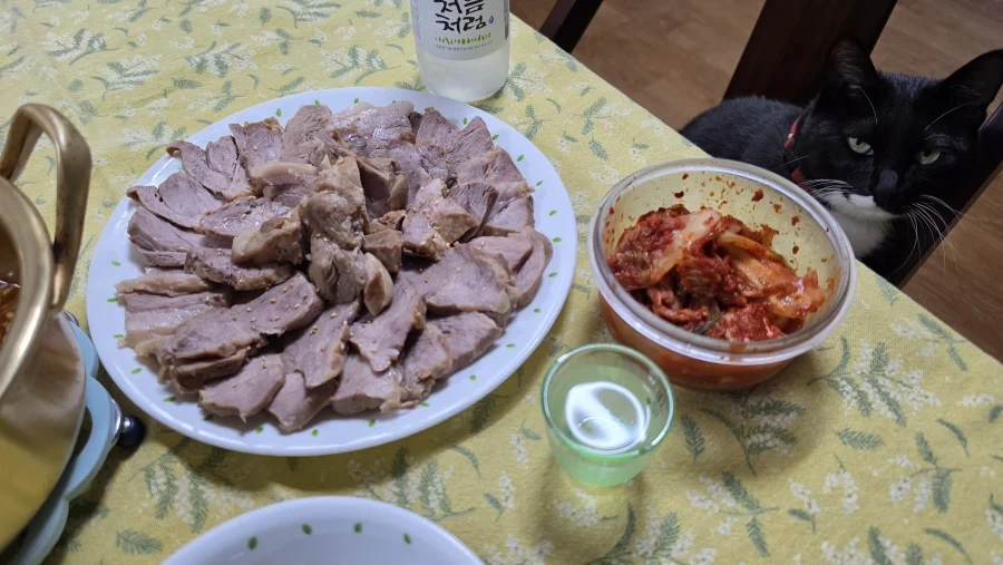 야옹이랑 소소하게 한잔함 - 이미지 6