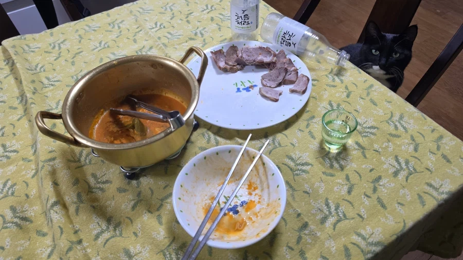 야옹이랑 소소하게 한잔함 - 이미지 15