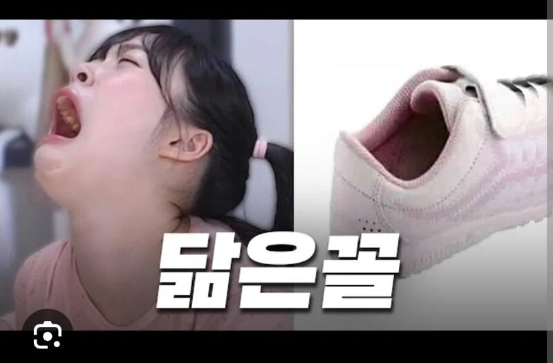 신발 닮았다는 방송인
