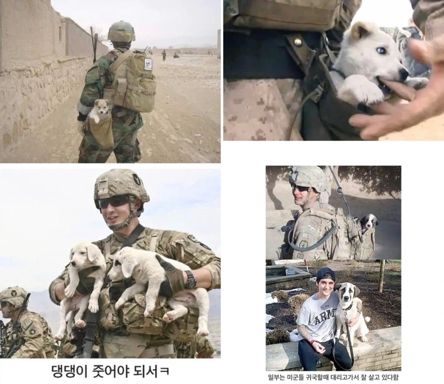미군들의 약탈
