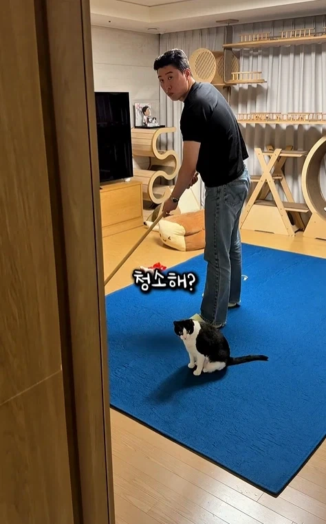 고자극에 중독된 고양이들 - 이미지 2