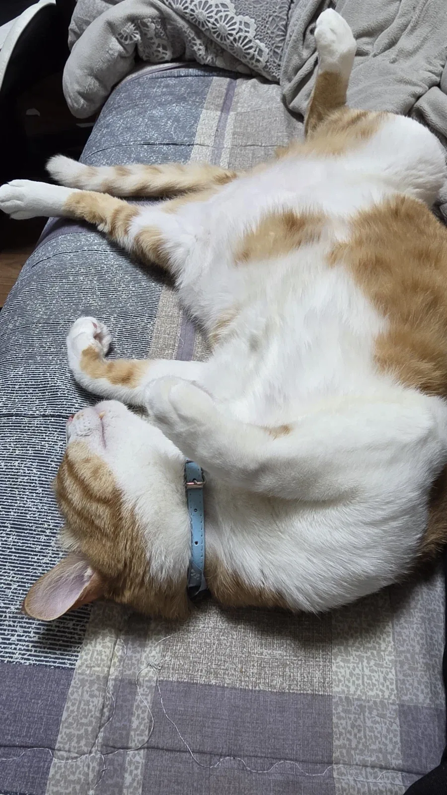 얘는 왜 귀척이야 ㅡㅡ