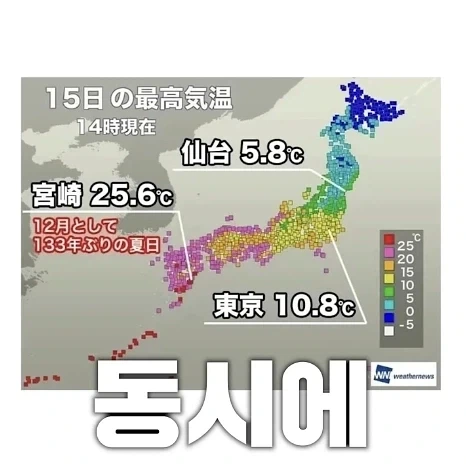 일본에서만 볼 수 있다는 사계절 - 이미지 2
