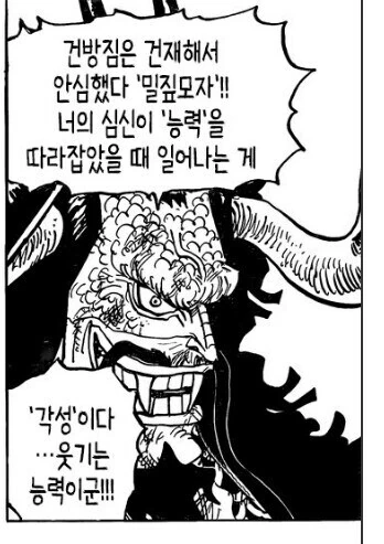 원피스) "각성이란 심신이 열매능력을 따라잡았을때 일어나는것"