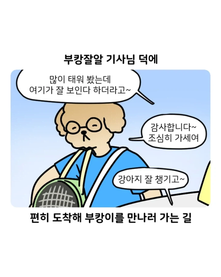 부캉이 보러갔다가 부산택시 경험한 만화.jpg - 이미지 6