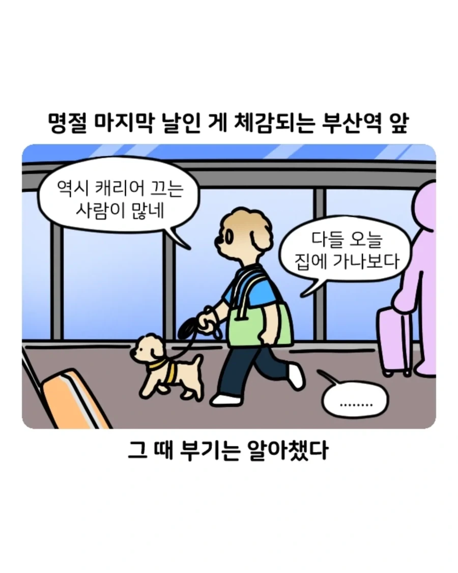 부캉이 보러갔다가 부산택시 경험한 만화.jpg - 이미지 9