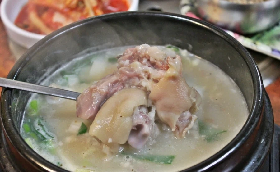 족발 국밥이란걸, 먹는 지역이 있다고? - 이미지 3