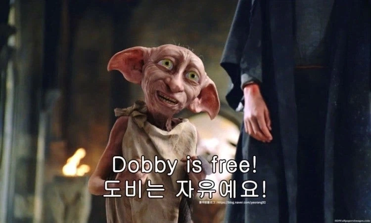 해리포터) 소설에서 집요정이 상징하는 주제
