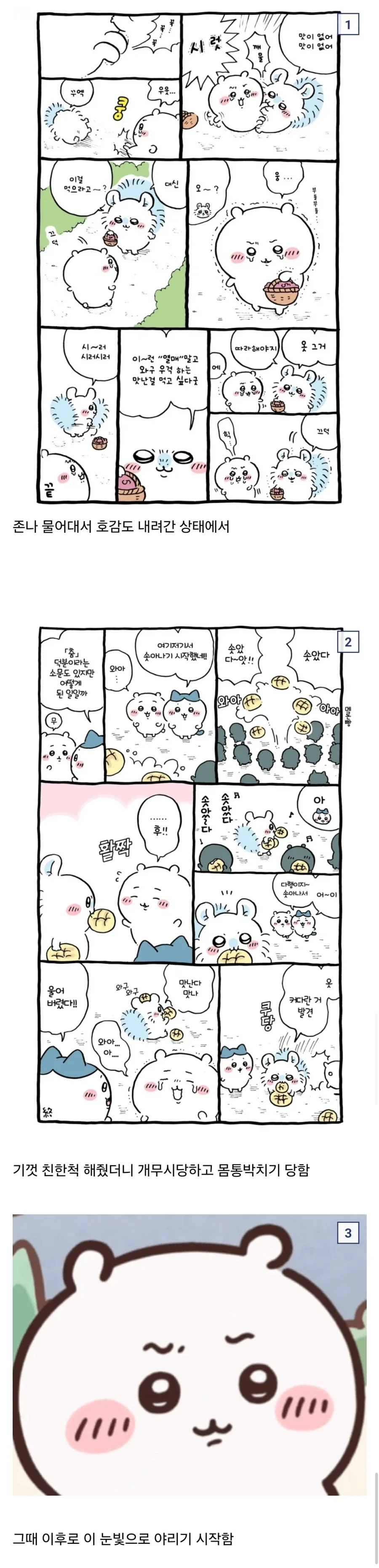 치이카와) 치이가 모몽가 극혐하게 된 시점