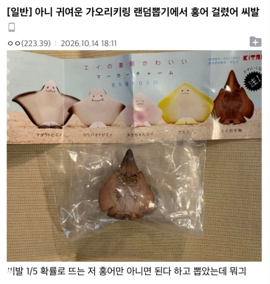아니 귀여운 가오리키링 랜덤뽑기에서 홍어 걸렸어 씨1발