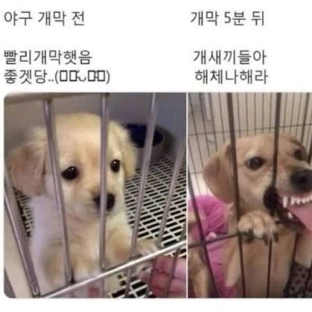 "야구"로 이행시 지어보겠습니다.