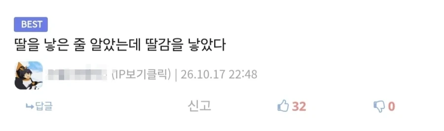 안 흔한 디시의 한국어지만 한국어가 아닌 댓글류 - 이미지 2