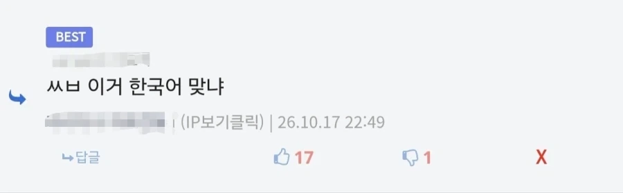 안 흔한 디시의 한국어지만 한국어가 아닌 댓글류 - 이미지 3