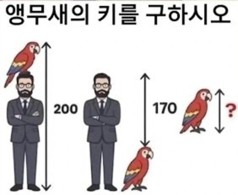 앵무새의 키를 구하시오.jpg