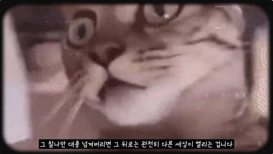 미국인들 지들 췌장 크다고 자랑하는 음료 - 이미지 17