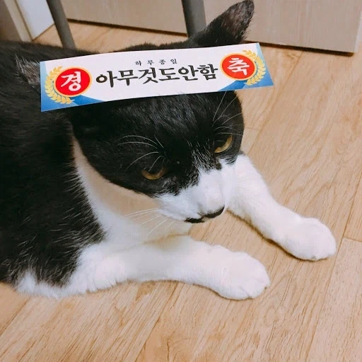 미국 최악의 대통령을 알아보자.araboza - 이미지 3