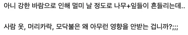 붉은사막) 의문을 품은 유져 vs 의문을 푸는 유져