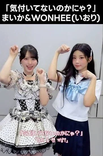 왜 하나도 모르는거냥