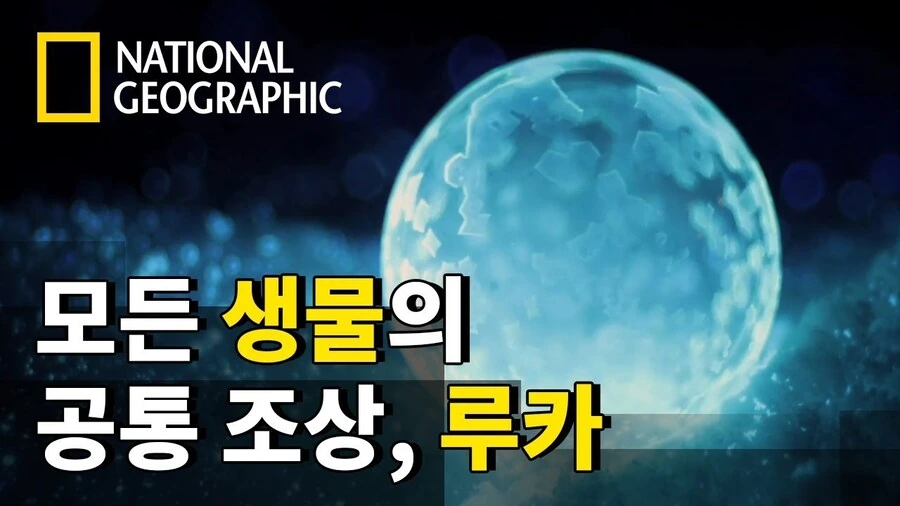 한반도에 살았던 인간들.jpg - 이미지 15