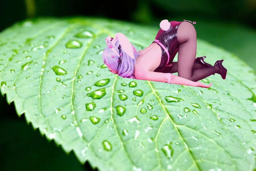 야하게 편집해 주세요.jpg - 이미지 9