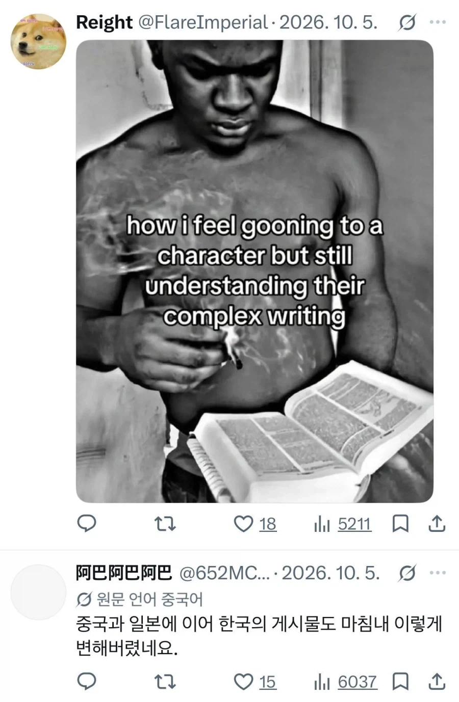 말포이 가슴론으로 많은 외국인 팔로워를 가지게 된사람 - 이미지 9