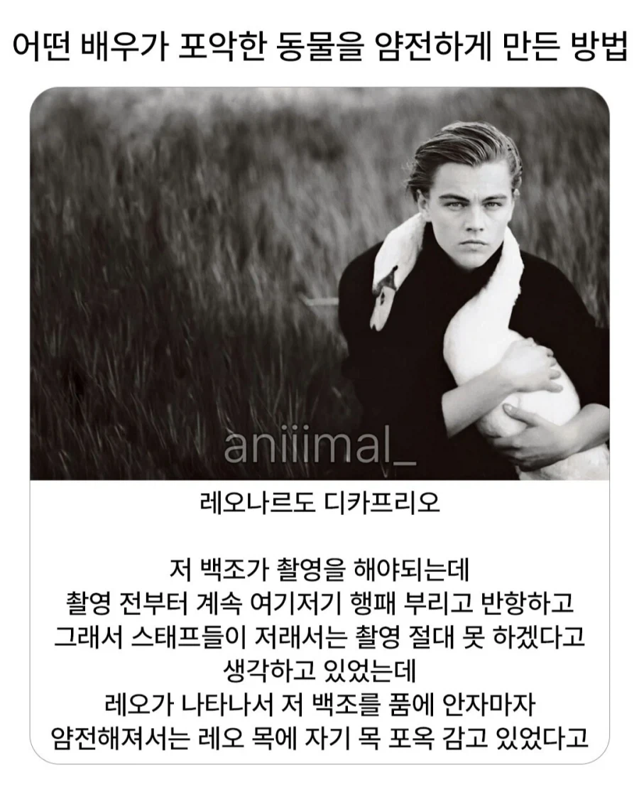 포악한 동물 얌전해지게 하는법