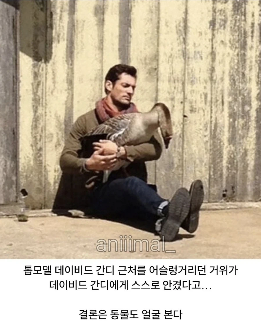 포악한 동물 얌전해지게 하는법 - 이미지 2