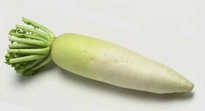 무슬림이 문제인 이유