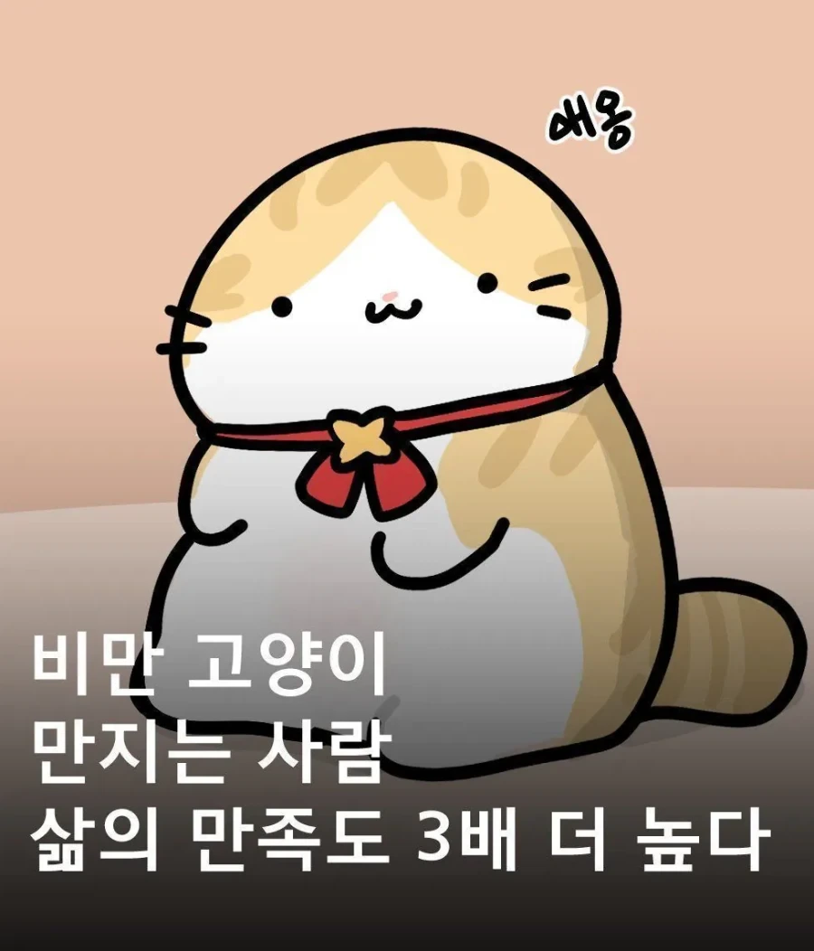 비만 고양이를 키워야 하는 이유