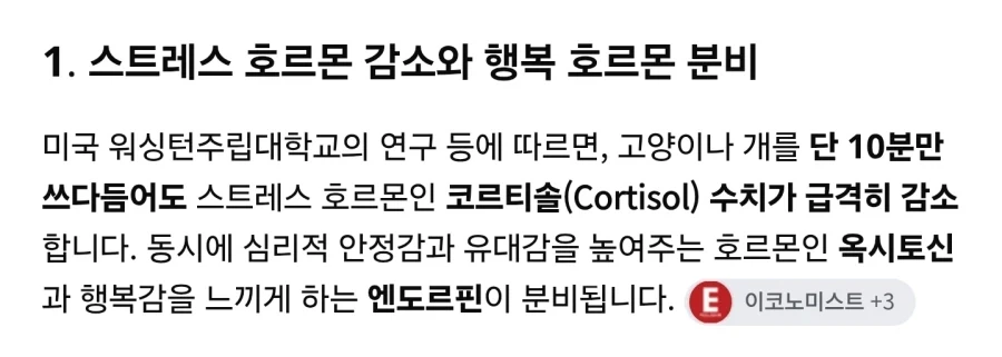 비만 고양이를 키워야 하는 이유 - 이미지 2