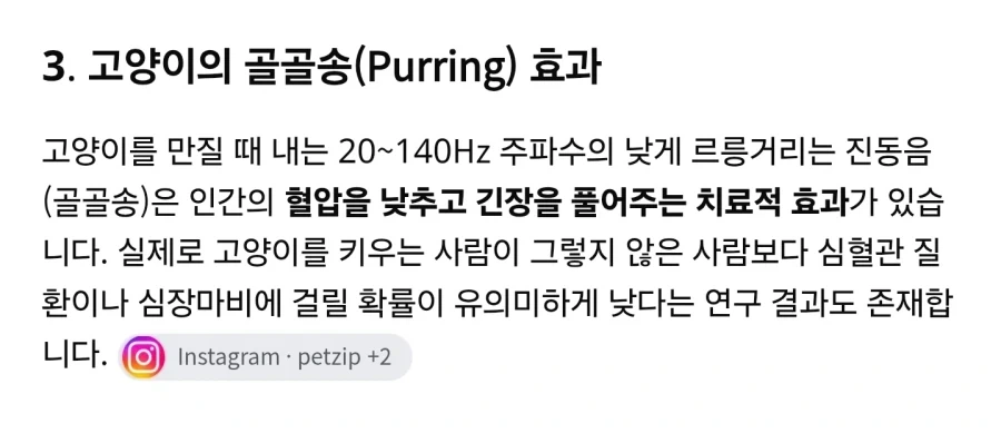비만 고양이를 키워야 하는 이유 - 이미지 3