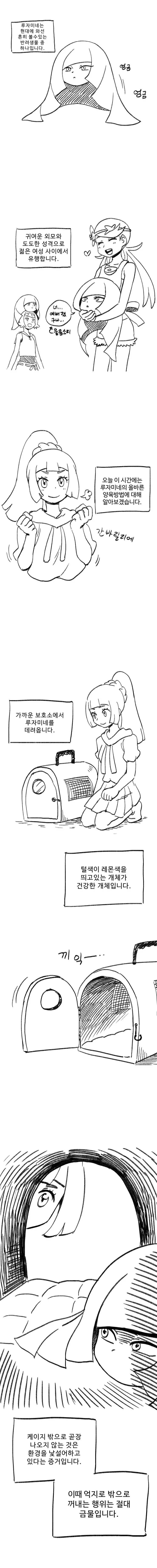 (포켓몬)루자미네 키우는 Manhwa.