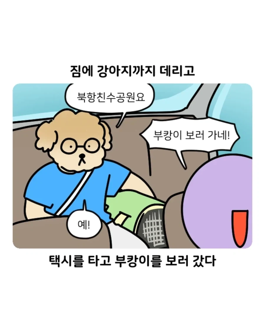 부캉이 보러갔다가 부산택시 경험한 만화.jpg