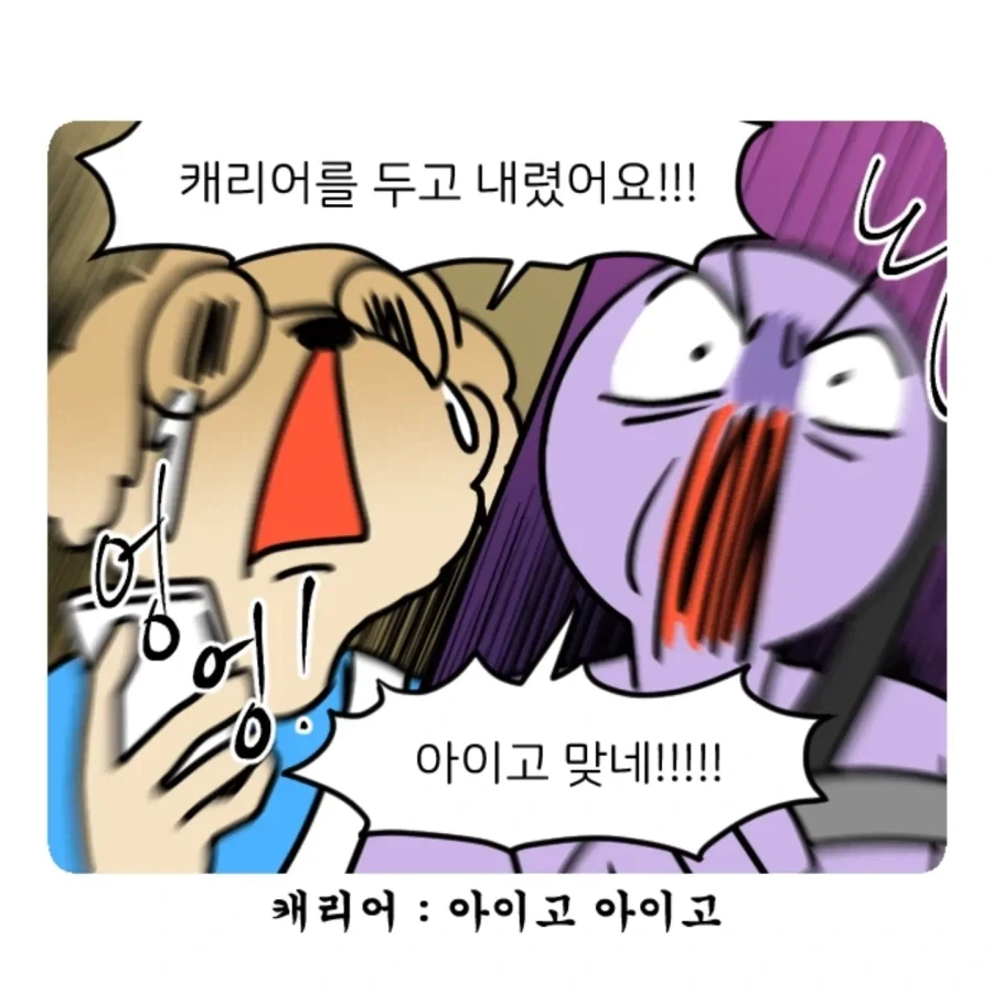 부캉이 보러갔다가 부산택시 경험한 만화.jpg - 이미지 8