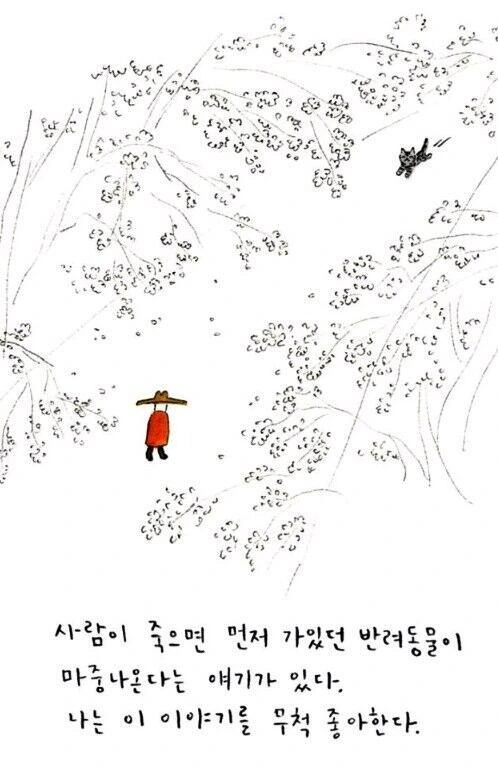 죽은후에 반려동물 만나는.manwha